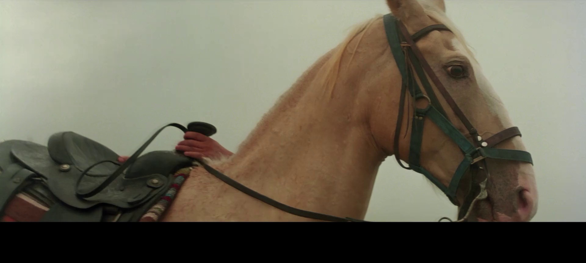 图片[3]-[BT下载][孙中山][WEB-MKV/1.34GB][国语配音/中文字幕][1080P][流媒体][QuickIO]-影音屋