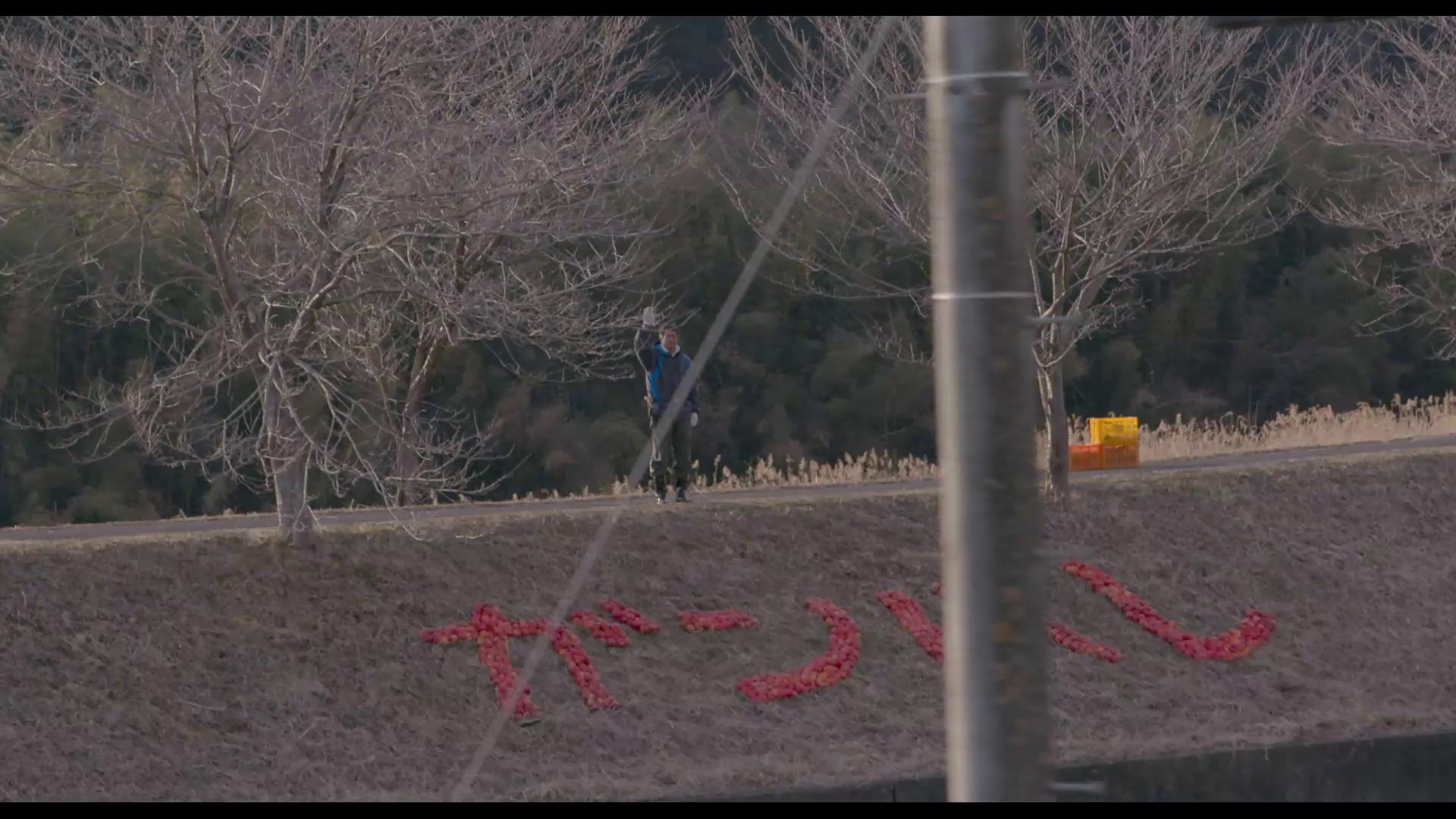 图片[7]-[BT下载][家族的故事][WEB-MKV/2.32GB][简繁英字幕][1080P][流媒体][DreamHD]-影音屋