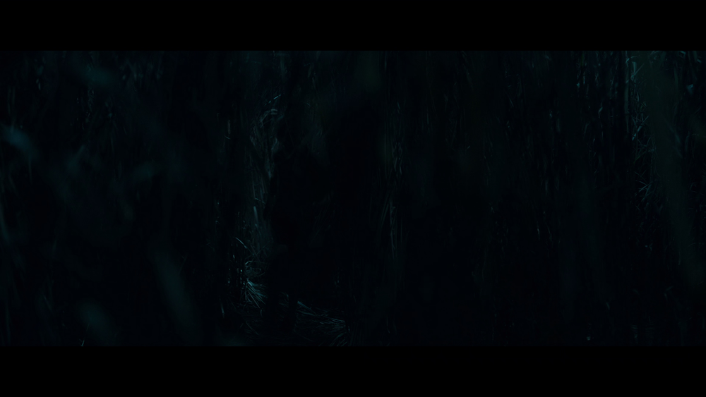 图片[3]-[BT下载][高草丛中][WEB-MKV/13.29GB][简繁英字幕][4K-2160P][H265编码][流媒体][QuickIO]-影音屋