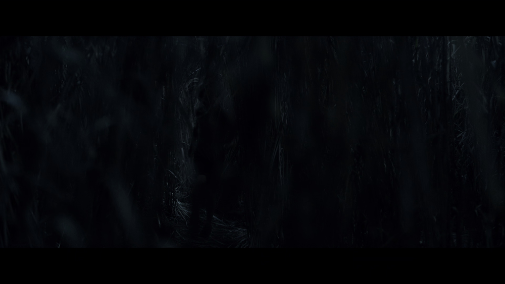 图片[3]-[BT下载][高草丛中][WEB-MKV/13.19GB][简繁英字幕][4K-2160P][HDR版本][H265编码][流媒体][QuickIO]-影音屋