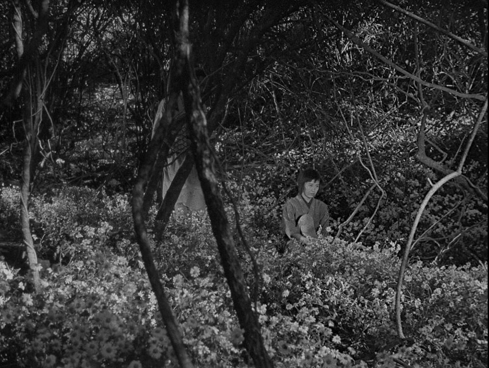 图片[6]-[BT下载][七武士][BD-MKV/15.06GB][简繁英字幕][1080P][蓝光压制][QuickIO]-影音屋