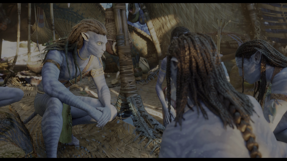 图片[3]-[BT下载][阿凡达：水之道][WEB-MKV/34.03GB][中文字幕][4K-2160P][HDR版本][H265编码][流媒体][PandaQT]-影音屋