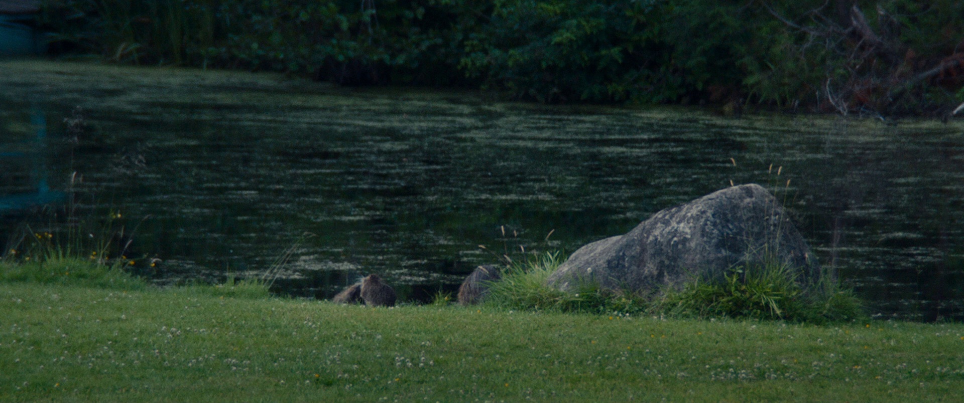 图片[6]-[BT下载][教训][BD-MKV/11.08GB][简繁英字幕][1080P][蓝光压制][CTRLHD]-影音屋