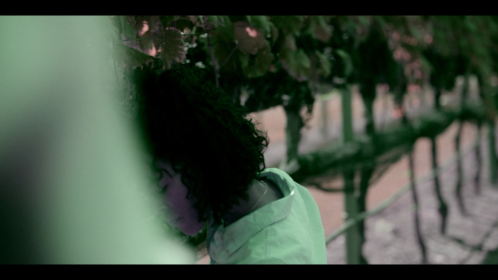 图片[3]-[BT下载][路得遇见波阿斯][WEB-MKV/12.87GB][简繁英字幕][4K-2160P][杜比视界版本][H265编码][流媒体][PandaQT]-影音屋