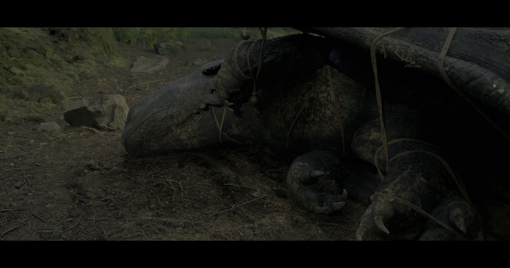 图片[2]-[BT下载][新·驯龙高手][BD-MKV/35.81GB][国英多音轨/简繁英字幕][4K-2160P][HDR版本][H265编码][蓝光压制][CTRLHD]-影音屋