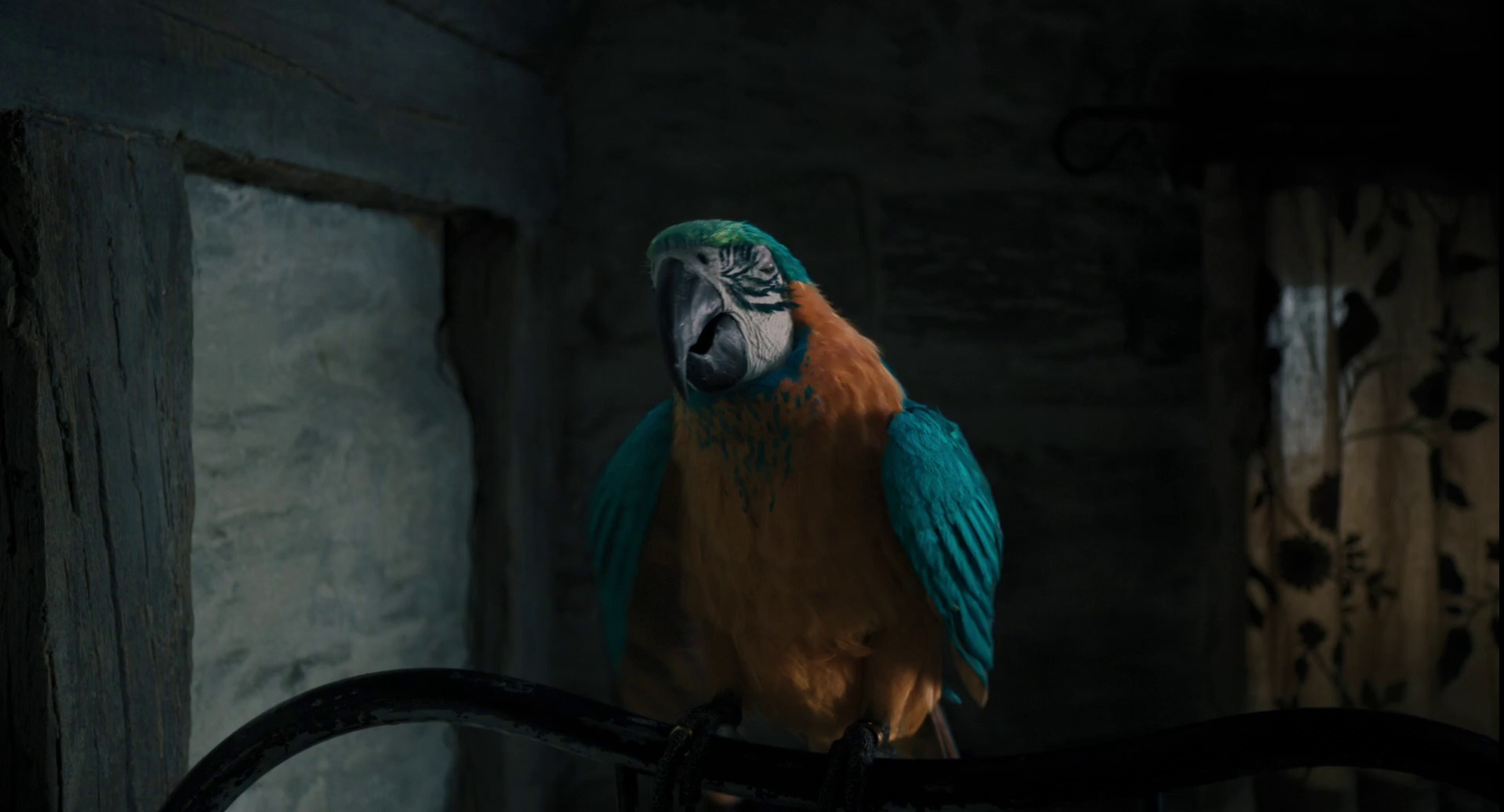 图片[3]-[BT下载][多力特的奇幻冒险][WEB-MKV/5.72GB][国英多音轨/简繁英字幕][1080P][流媒体][PandaQT]-影音屋