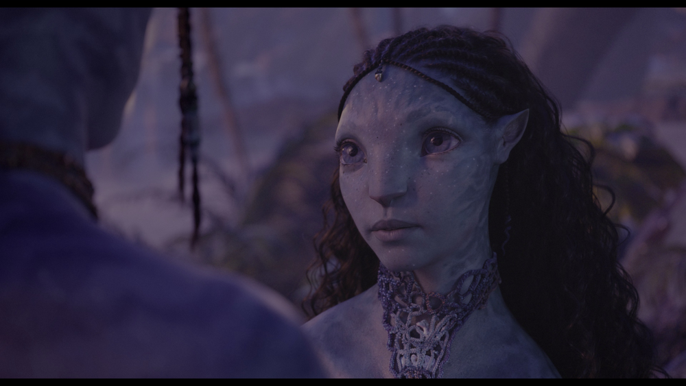 图片[5]-[BT下载][阿凡达：水之道][WEB-MKV/34.03GB][中文字幕][4K-2160P][HDR版本][H265编码][流媒体][PandaQT]-影音屋