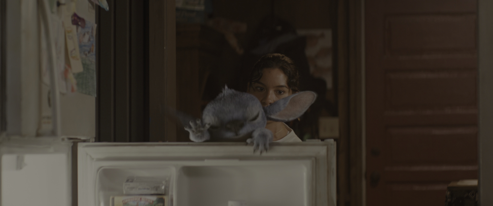 图片[4]-[BT下载][星际宝贝史迪奇][BD-MKV/29.34GB][国粤英多音轨/简繁英字幕][4K-2160P][HDR+杜比视界双版本][H265编码][蓝光压制][CTR-影音屋