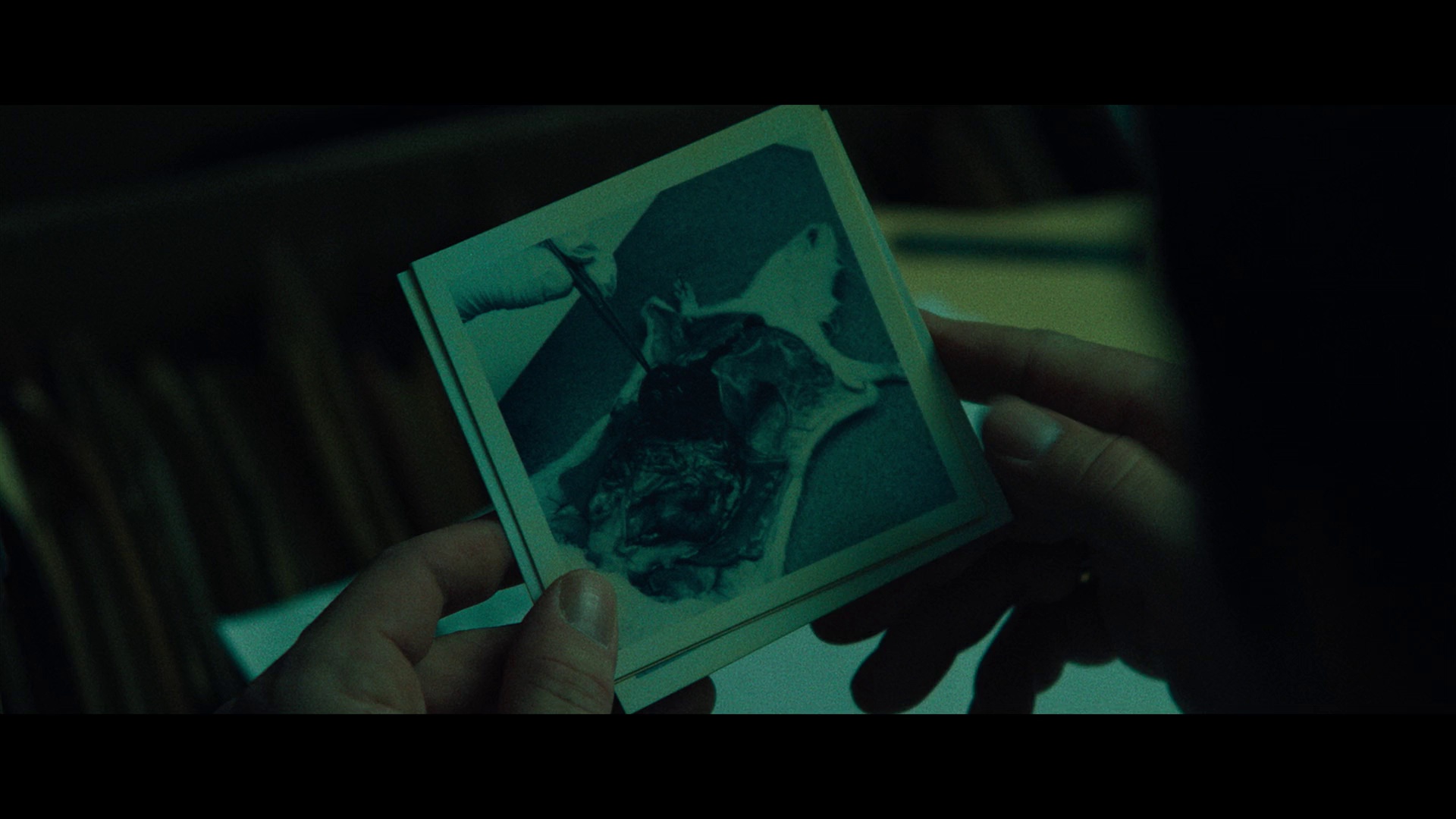 图片[4]-[BT下载][黑水][WEB-MKV/7.22GB][中文字幕][1080P][流媒体][PandaQT]-影音屋