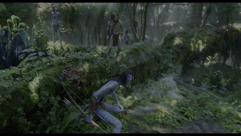 图片[2]-[BT下载][阿凡达：水之道][WEB-MKV/34.03GB][中文字幕][4K-2160P][HDR版本][H265编码][流媒体][PandaQT]-影音屋