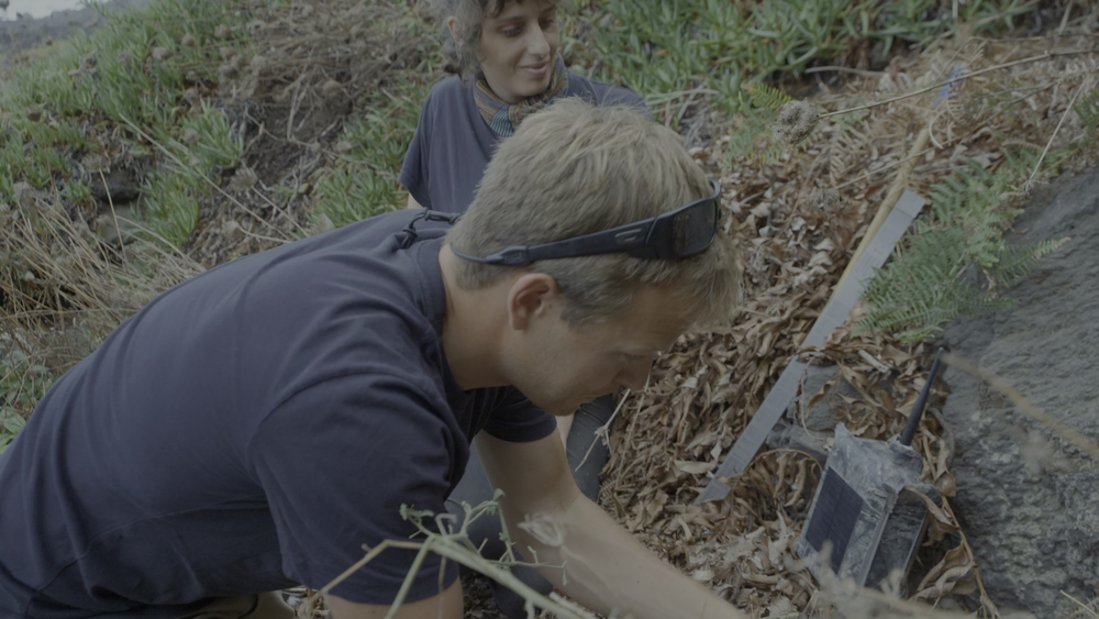 图片[5]-[BT下载][摄影师贝尔蒂与海豚零距离][WEB-MKV/5.10GB][简繁英字幕][4K-2160P][HDR版本][H265编码][流媒体][DreamHD]-影音屋