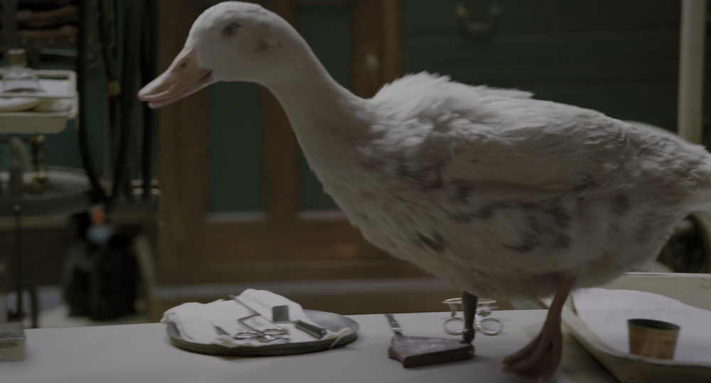 图片[2]-[BT下载][多力特的奇幻冒险][WEB-MKV/11.21GB][国英多音轨/简繁英字幕][4K-2160P][HDR+杜比视界双版本][H265编码][流媒体][Pand-影音屋