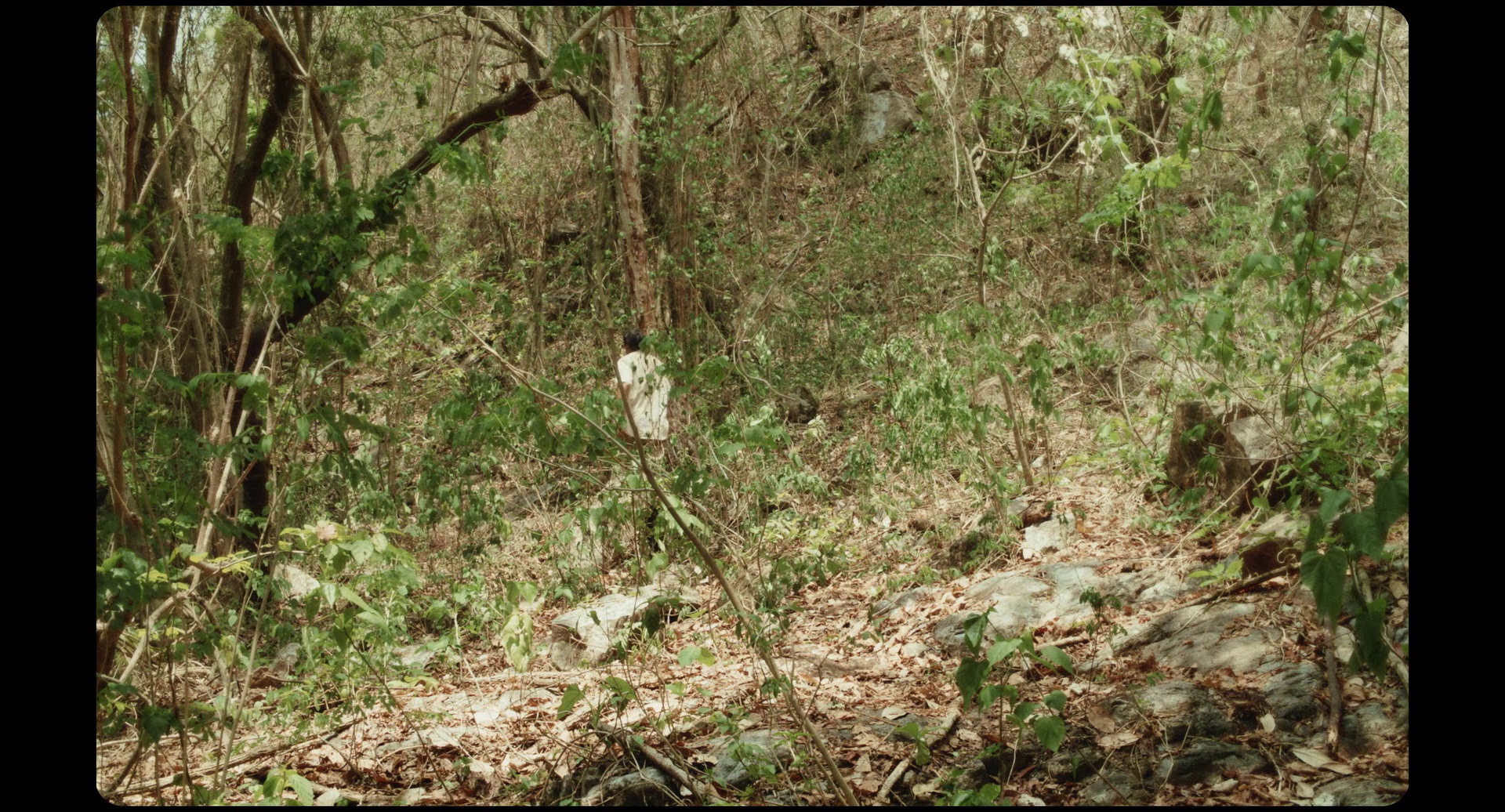 图片[7]-[BT下载][尤里卡][BD-MKV/15.38GB][简繁英字幕][1080P][蓝光压制][DreamHD]-影音屋