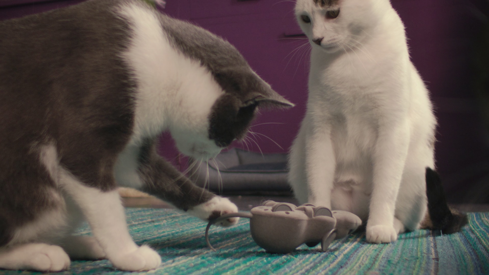 图片[6]-[BT下载][喵星人的奇思妙想][WEB-MKV/5.86GB][简繁英字幕][4K-2160P][H265编码][流媒体][QuickIO]-影音屋