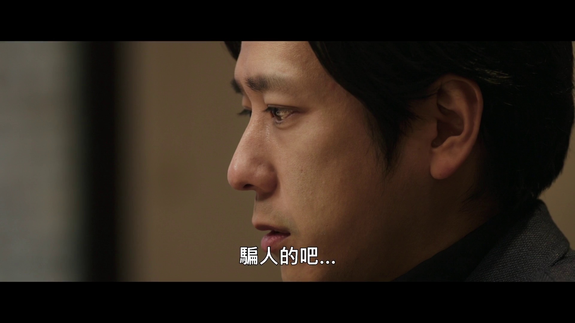 图片[6]-[BT下载][返朴][WEB-MKV/6.65GB][中文字幕][1080P][流媒体][DreamHD]-影音屋