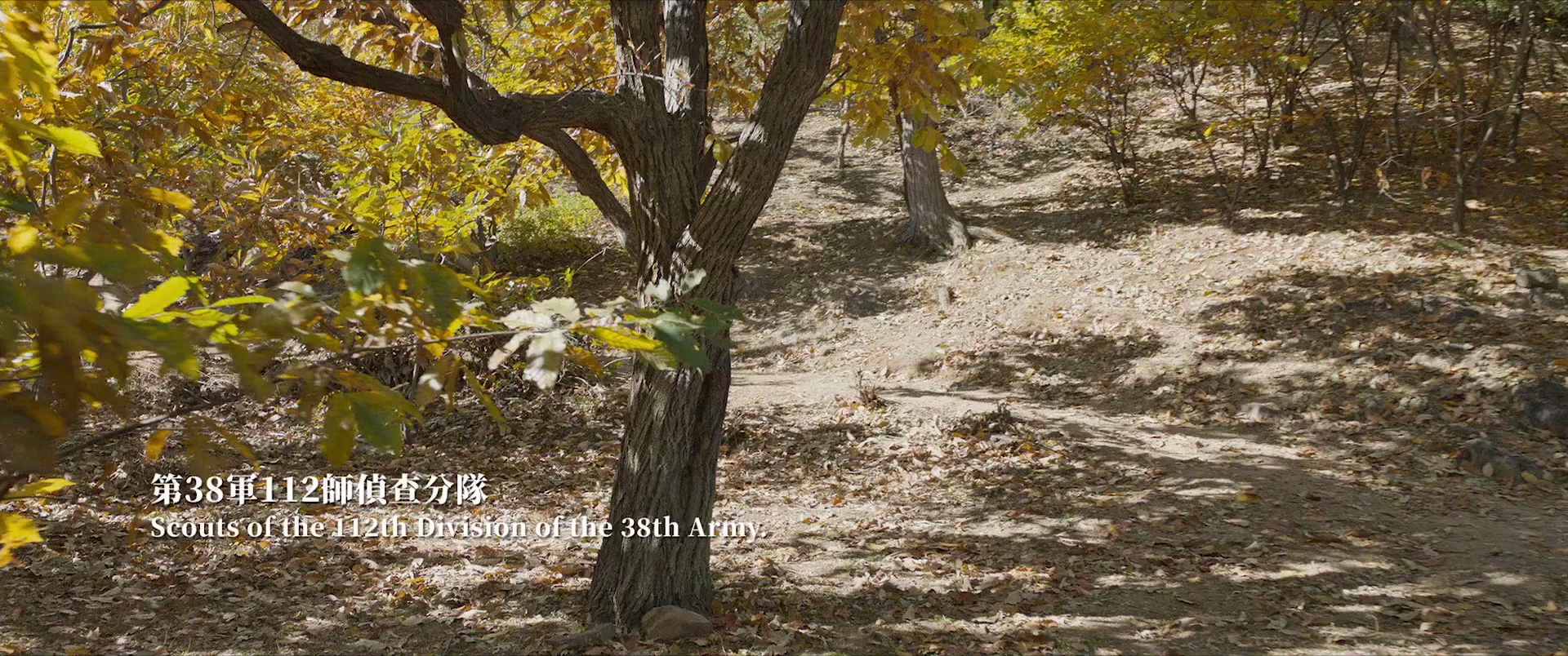 图片[3]-[BT下载][志愿军：雄兵出击][BD-MKV/7.96GB][国语音轨/简繁字幕][1080P][H265编码][蓝光压制][CTRLHD]-影音屋