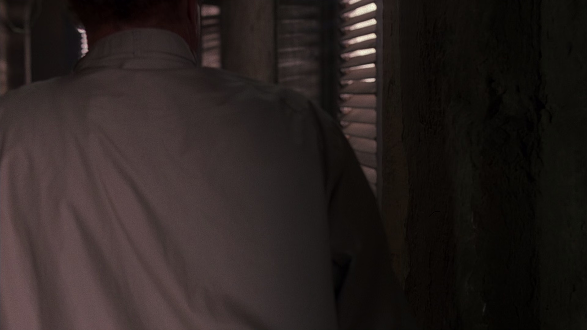 图片[7]-[BT下载][绑票惊爆点][BD-MKV/10.81GB][国英多音轨/简繁英字幕][1080P][H265编码][蓝光压制][ParkHD]-影音屋