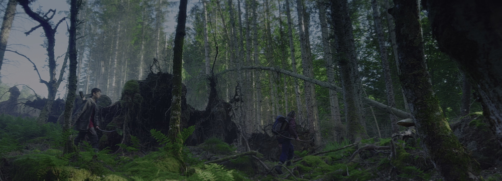 图片[2]-[BT下载][惊变28年][WEB-MKV/11.86GB][简繁英字幕][4K-2160P][HDR版本][H265编码][流媒体][QuickIO]-影音屋