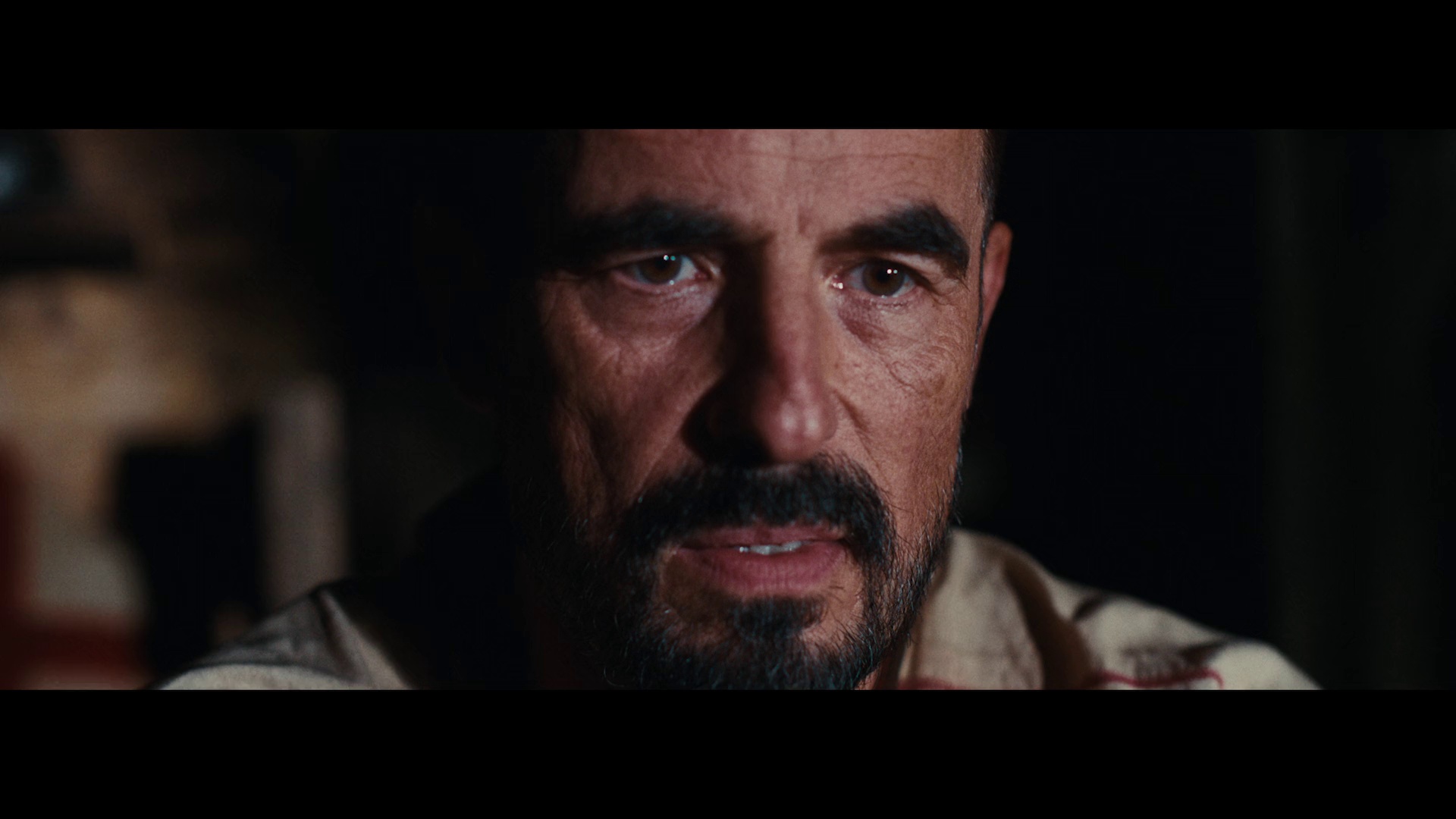 图片[4]-[BT下载][威廉·退尔][WEB-MKV/6.15GB][无字片源][1080P][流媒体][DreamHD]-影音屋