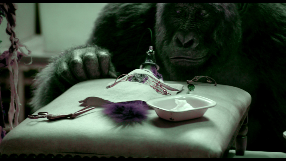 图片[2]-[BT下载][多力特的奇幻冒险][WEB-MKV/17.81GB][中文字幕][4K-2160P][杜比视界版本][H265编码][流媒体][PandaQT]-影音屋