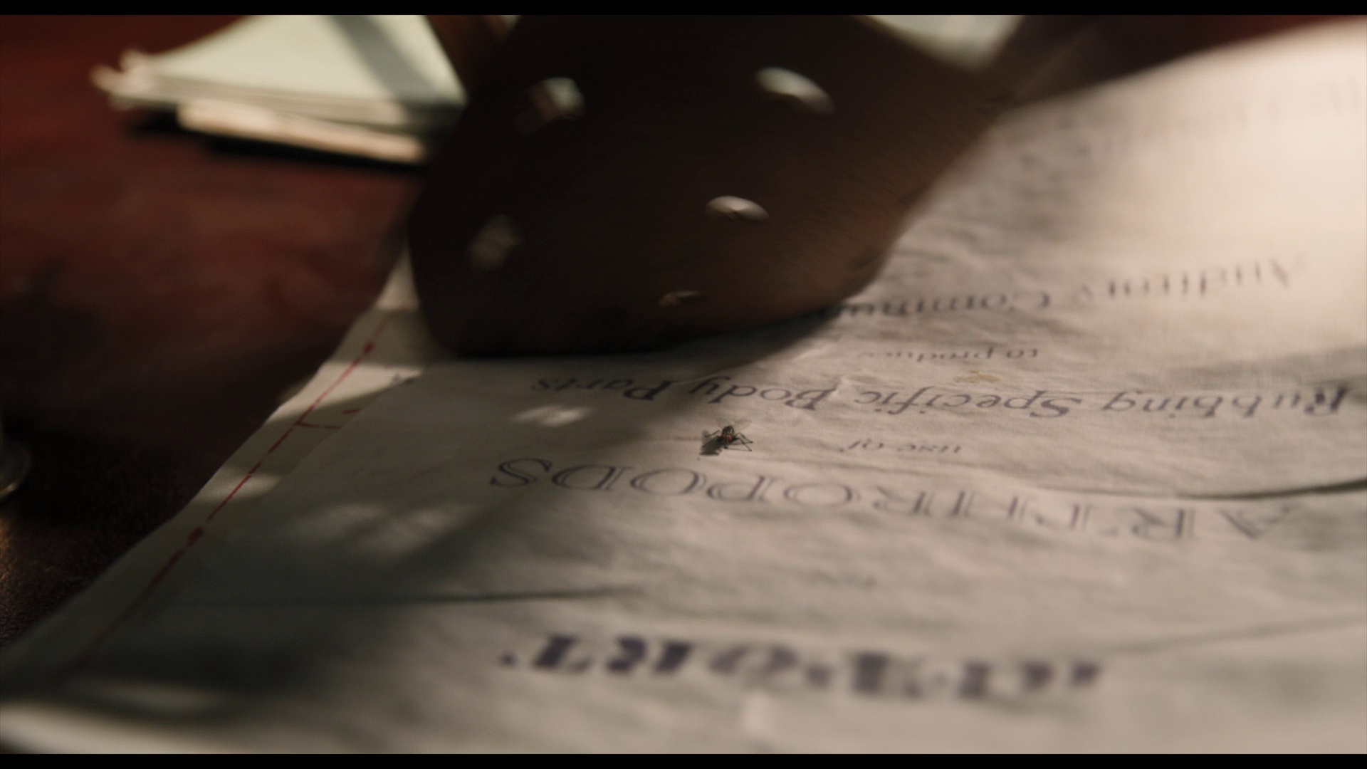 图片[4]-[BT下载][多力特的奇幻冒险][WEB-MKV/6.07GB][中文字幕][1080P][流媒体][PandaQT]-影音屋