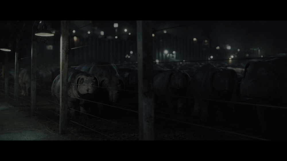 图片[7]-[BT下载][玉子][WEB-MKV/8.22GB][简繁英字幕][4K-2160P][HDR版本][H265编码][流媒体][QuickIO]-影音屋