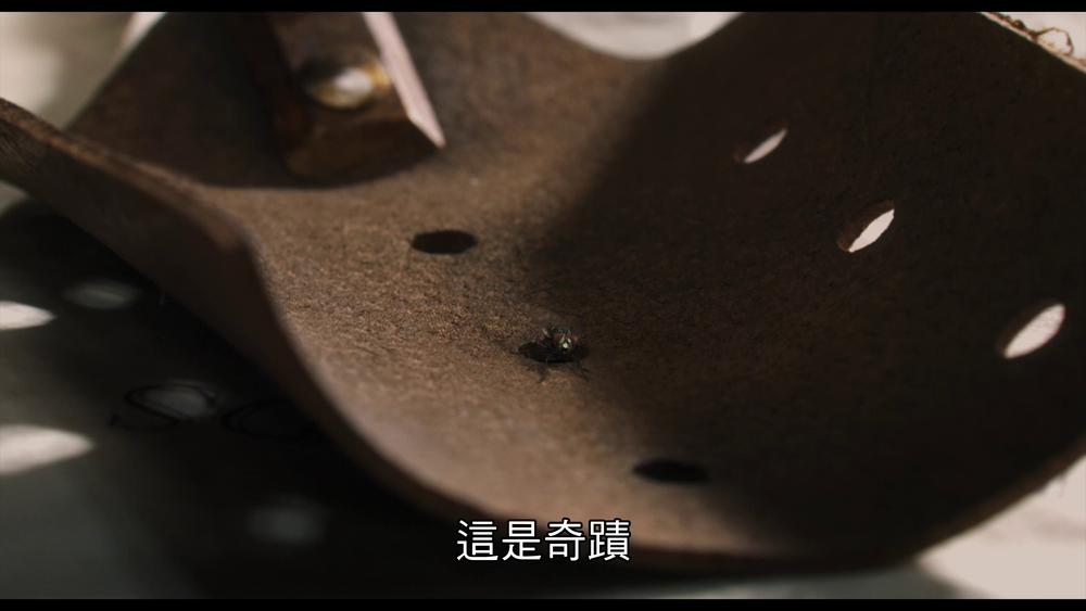 图片[4]-[BT下载][多力特的奇幻冒险][WEB-MKV/13.35GB][中文字幕][4K-2160P][30帧率][流媒体][DreamHD]-影音屋