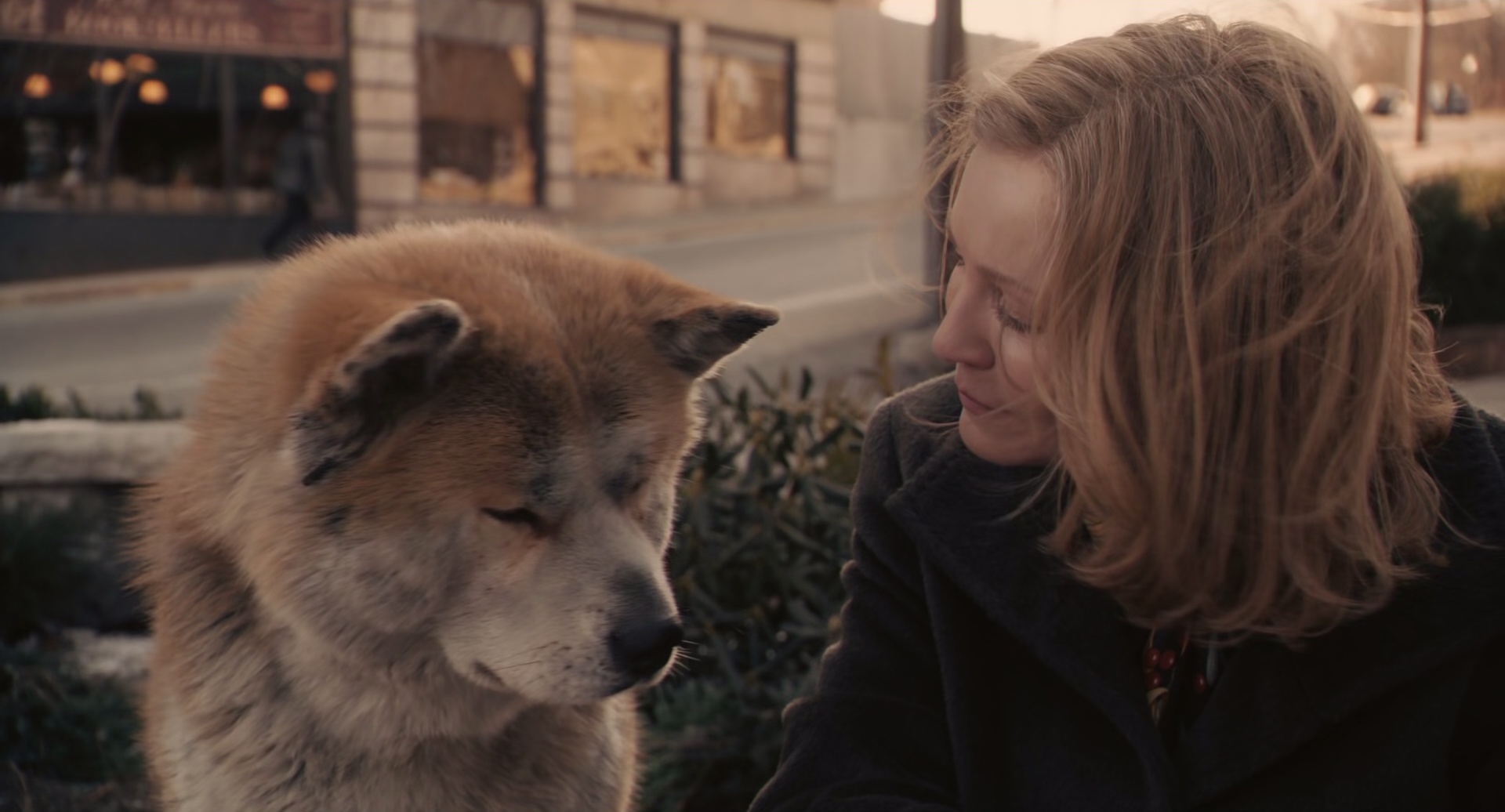 图片[7]-[BT下载][忠犬八公的故事][BD-MKV/7.15GB][中文字幕/特效字幕][1080P][H265编码][蓝光压制][DreamHD]-影音屋