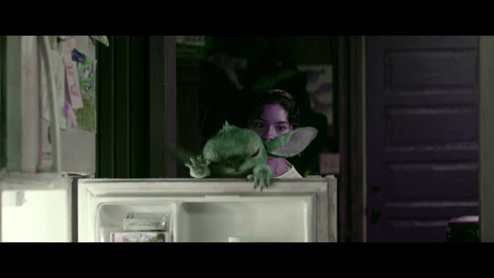 图片[4]-[BT下载][星际宝贝史迪奇][WEB-MKV/13.40GB][国英多音轨/简繁英字幕][4K-2160P][杜比视界版本][H265编码][流媒体][PandaQT]-影音屋