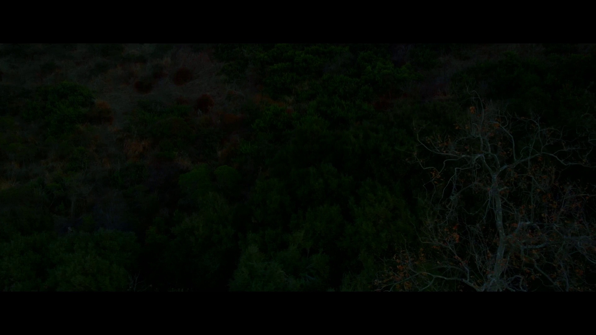 图片[3]-[BT下载][致命雇佣日][WEB-MKV/4.89GB][中文字幕][1080P][流媒体][DreamHD]-影音屋