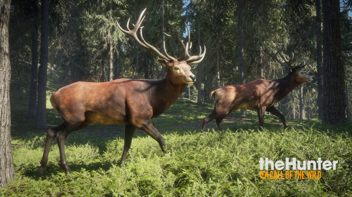 图片[2]-《猎人：野性的呼唤 theHunter: Call of the Wild》全DLC开心版BT下载v2414688 + 40 DLCs-影音屋