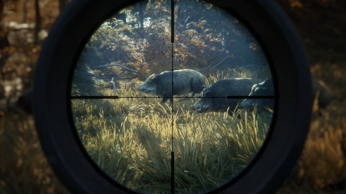 图片[3]-《猎人：野性的呼唤 theHunter: Call of the Wild》全DLC开心版BT下载v2414688 + 40 DLCs-影音屋