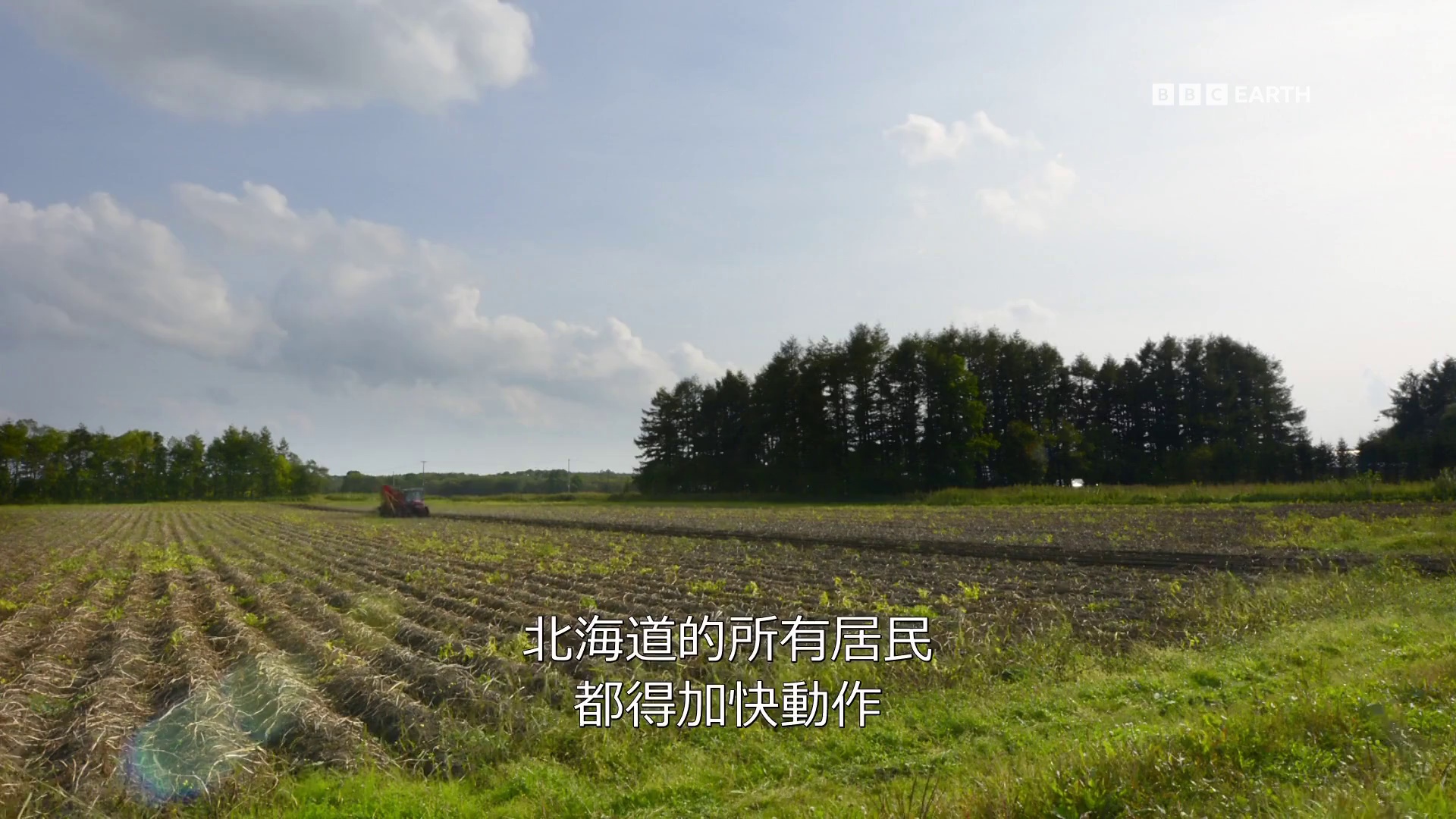 图片[8]-[BT下载][狂野日本][全3集][WEB-MKV/8.28G][中文字幕][1080P][流媒体][ZerTV]-影音屋