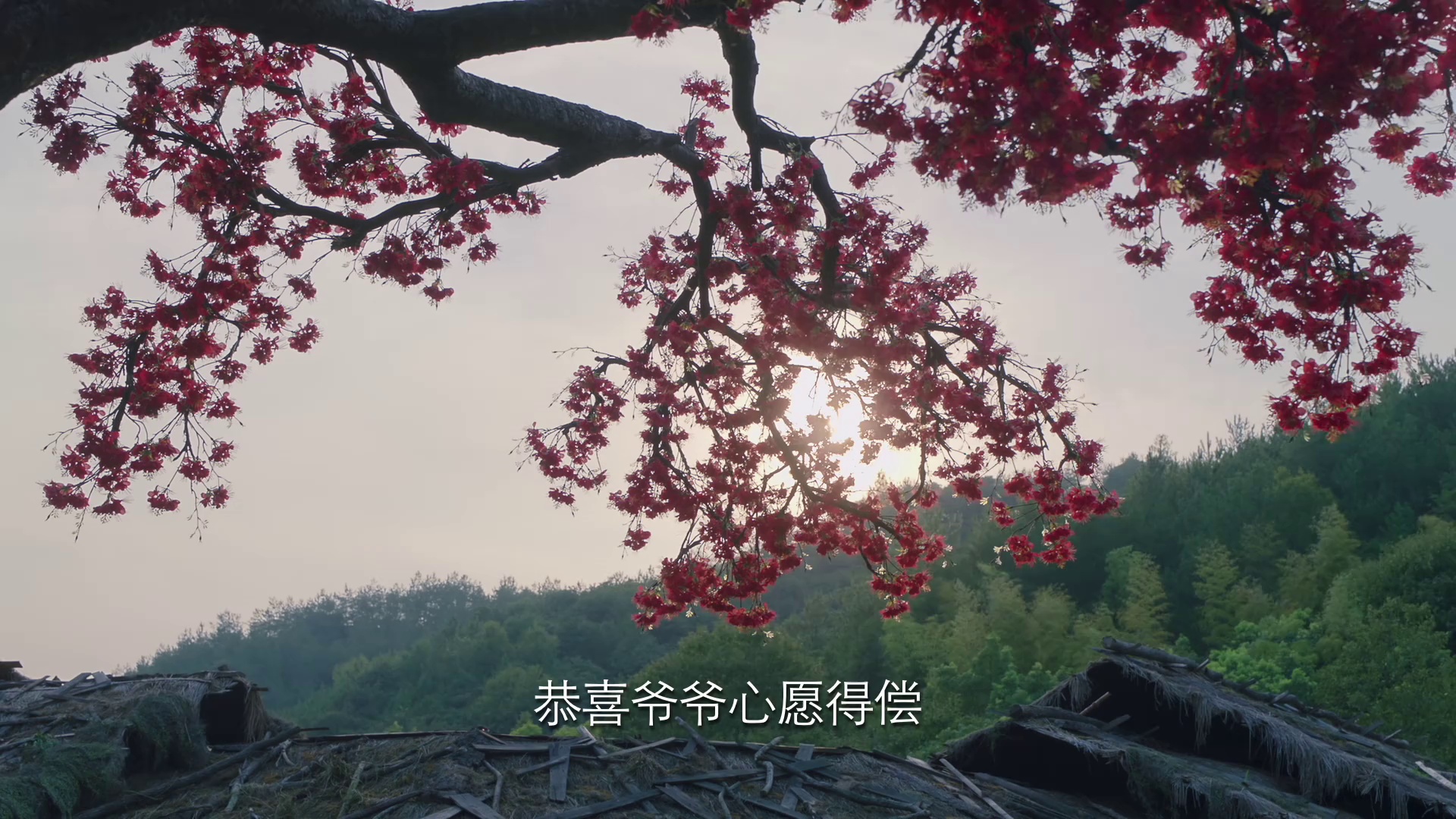 图片[4]-[BT下载][长相思 第二季][全23集][WEB-MP4/12.74G][国语配音/中文字幕][1080P][流媒体][ParkTV]-影音屋