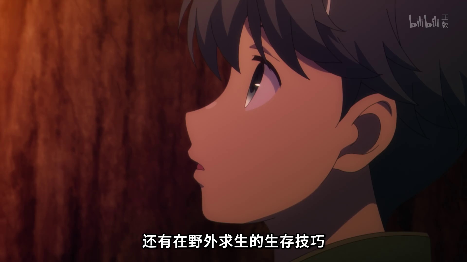 图片[5]-[BT下载][事与愿违的不死冒险者][全12集][WEB-MP4/3.29G][中文字幕][1080P][流媒体][ZeroTV]-影音屋