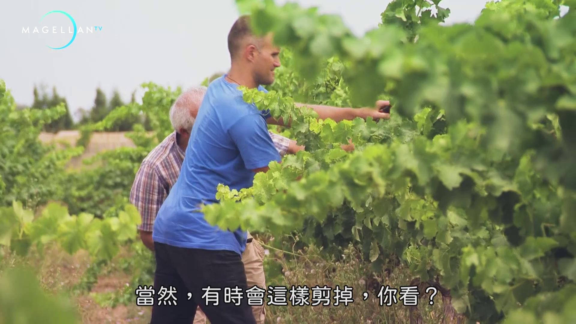 图片[7]-[BT下载][旅游狂人][全12集][WEB-MKV/28.88G][中文字幕][1080P][流媒体][ZerTV]-影音屋