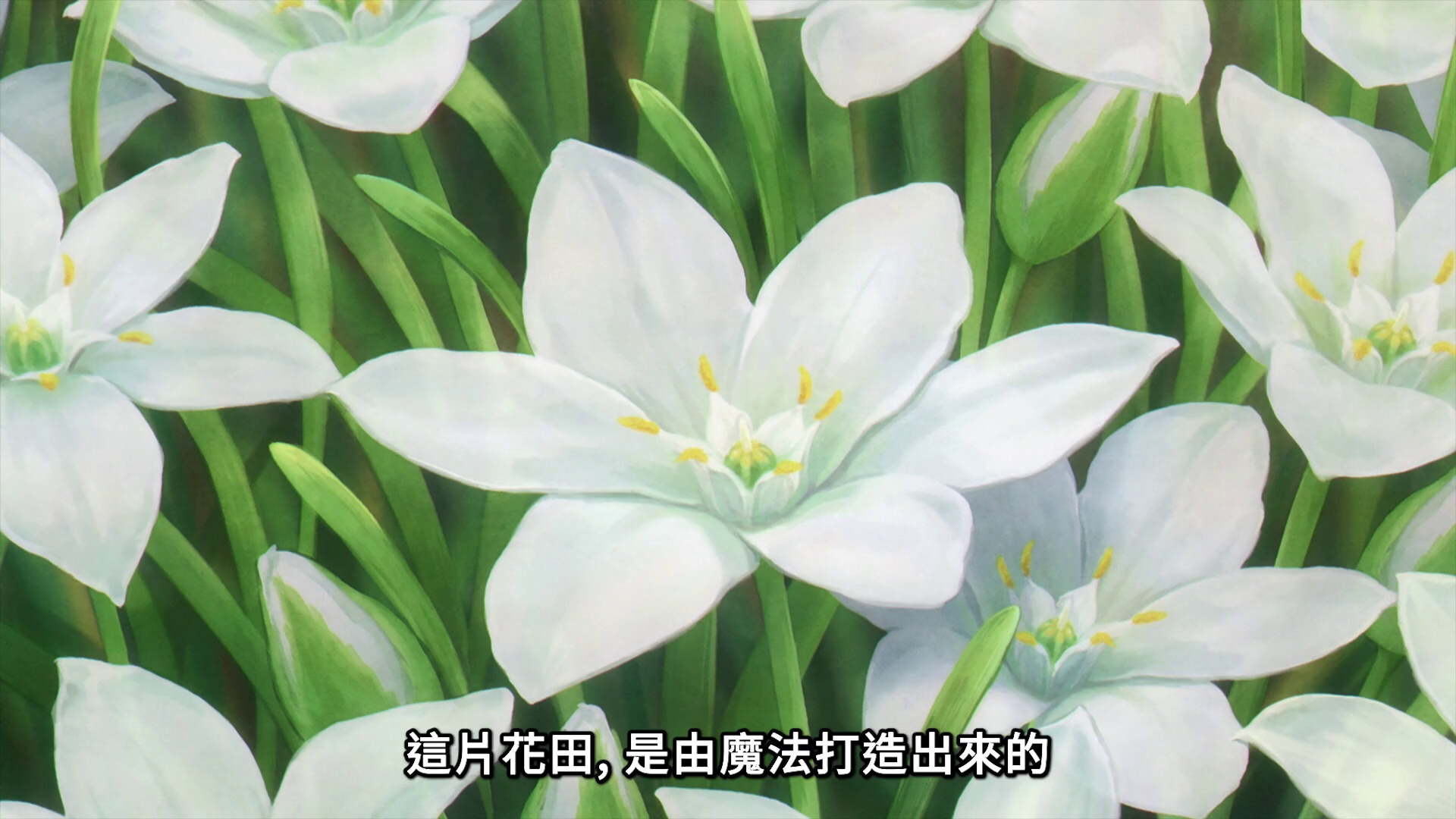 图片[7]-[BT下载][葬送的芙莉莲][全28集][WEB-MKV/16.79G][国语配音/中文字幕][1080P][流媒体][ParkTV.mkv]-影音屋