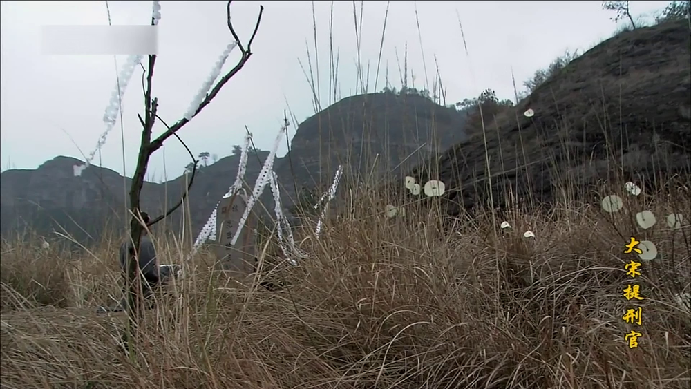 图片[8]-[BT下载][大宋提刑官][全52集][WEB-MP4/73.96G][中文字幕][4K-2160P][H265][流媒体][GreenTV]-影音屋