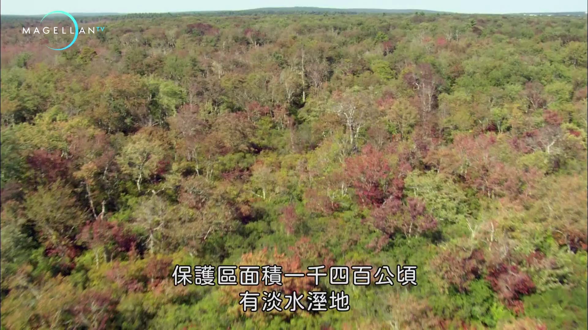 图片[5]-[BT下载][鸟瞰世界.第七季][全14集][WEB-MKV/20.32G][中文字幕][1080P][流媒体][ZerTV]-影音屋