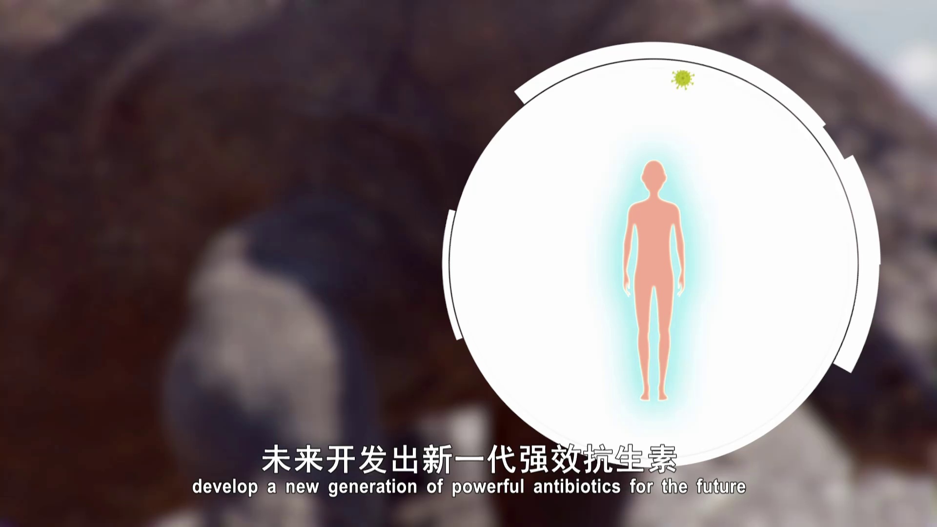 图片[8]-[BT下载][动物封神榜 第一季][全5集][WEB-MKV/4.11G][中文字幕][1080P][流媒体][LelveTV]-影音屋