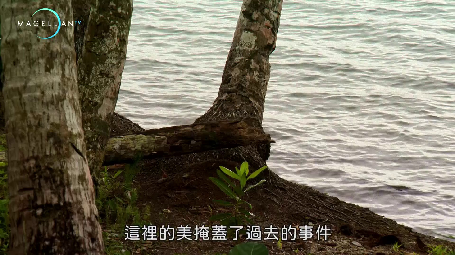 图片[6]-[BT下载][旅游狂人][全10集][WEB-MKV/24.29G][中文字幕][1080P][流媒体][ZerTV]-影音屋
