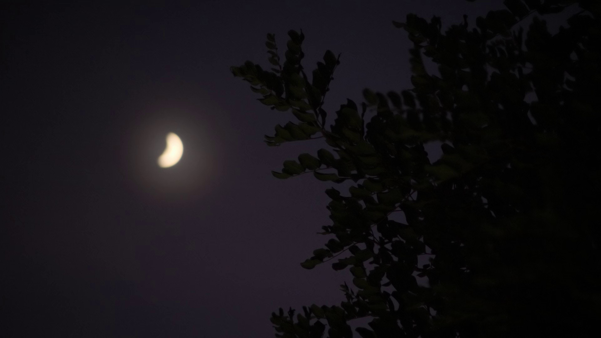 图片[8]-[BT下载][杰克·怀特豪尔：爸爸教我做爸爸][全4集][WEB-MKV/6.62G][简繁英字幕][1080P][Netflix][流媒体][ZerTV]-影音屋