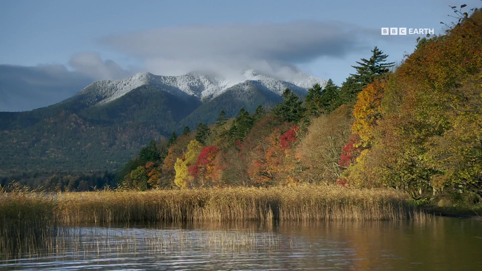 图片[4]-[BT下载][狂野日本][全3集][WEB-MKV/8.28G][中文字幕][1080P][流媒体][ZerTV]-影音屋