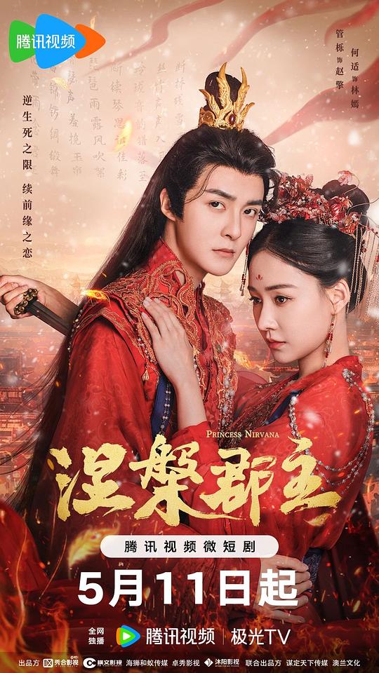 [BT下载][涅槃郡主][全20集][WEB-MKV/4.26G][国语配音/中文字幕][1080P][流媒体][ParkTV]-影音屋