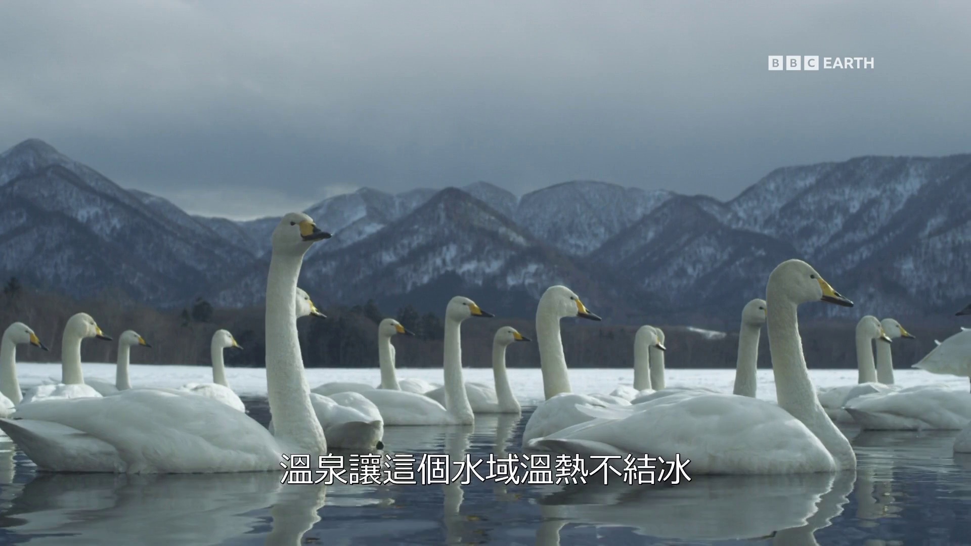 图片[7]-[BT下载][狂野日本][全3集][WEB-MKV/8.28G][中文字幕][1080P][流媒体][ZerTV]-影音屋