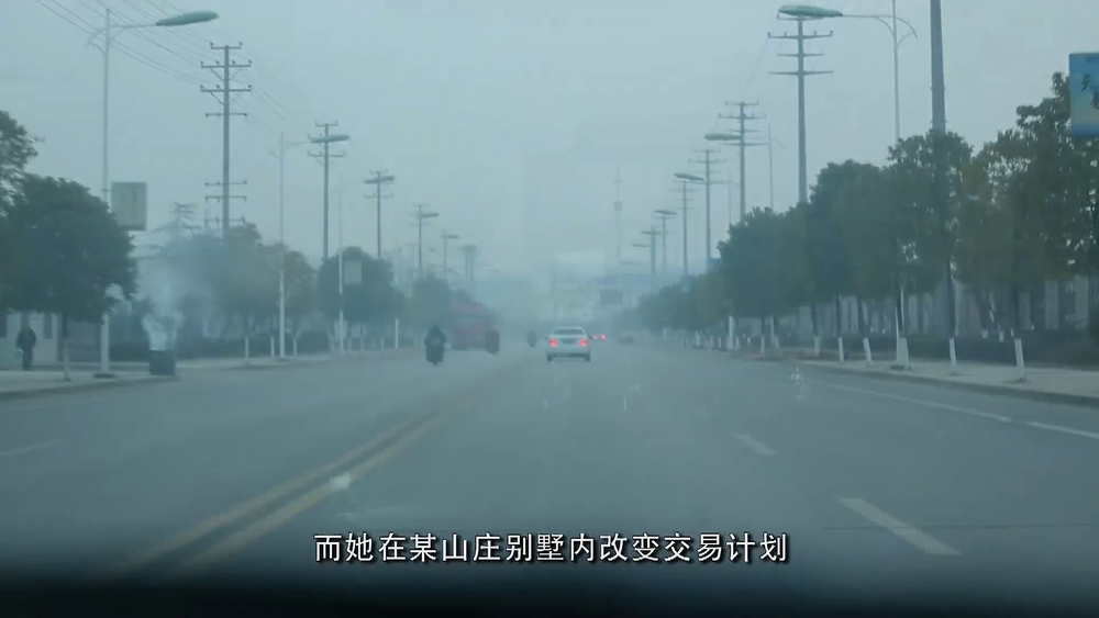 图片[8]-[BT下载][罪案现场实录 第六季][全12集][WEB-MP4/10.40G][国语配音/中文字幕][4K-2160P][H265][流媒体][LelveTV]-影音屋