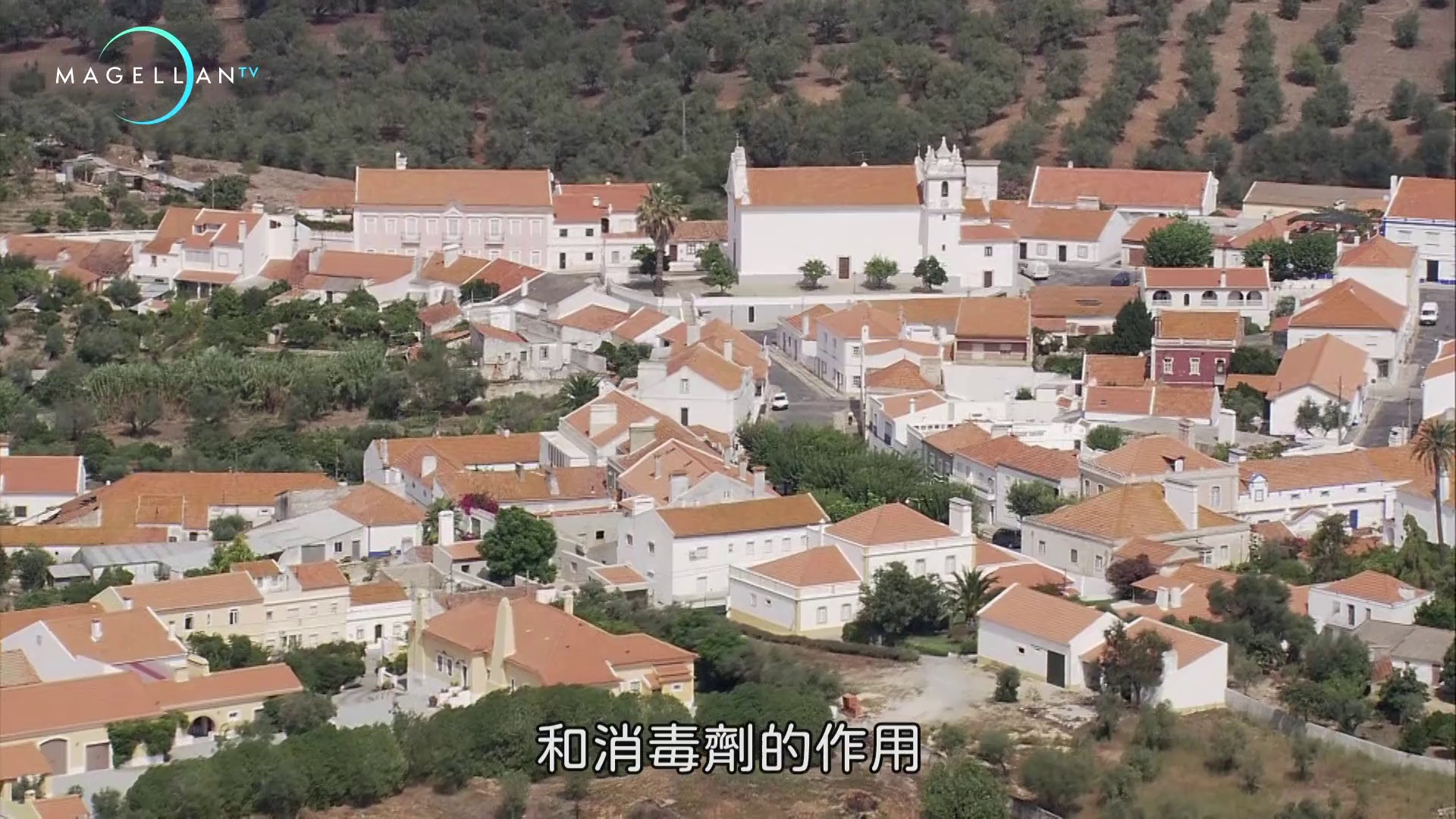 图片[4]-[BT下载][鸟瞰世界.第四季][全14集][WEB-MKV/20.43G][国语配音/中文字幕][1080P][流媒体][ZerTV]-影音屋