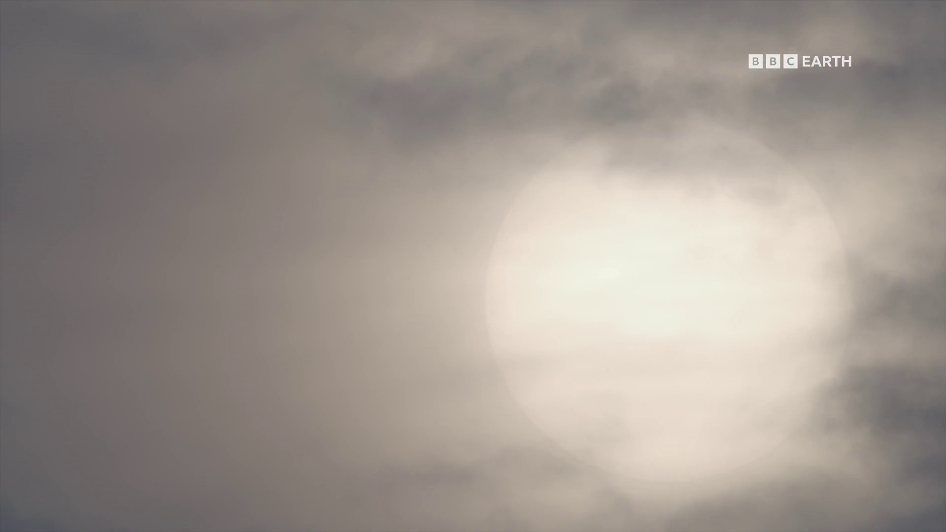 图片[6]-[BT下载][狂野日本][全3集][WEB-MKV/8.28G][中文字幕][1080P][流媒体][ZerTV]-影音屋