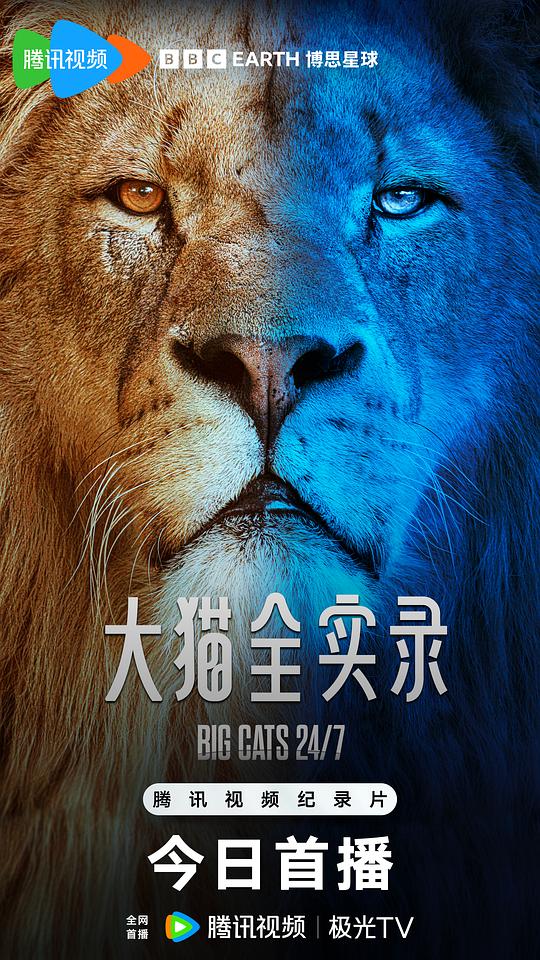 [BT下载][大猫全实录][全06集][WEB-MKV/5.72G][中文字幕][1080P][流媒体][ParkTV]-影音屋