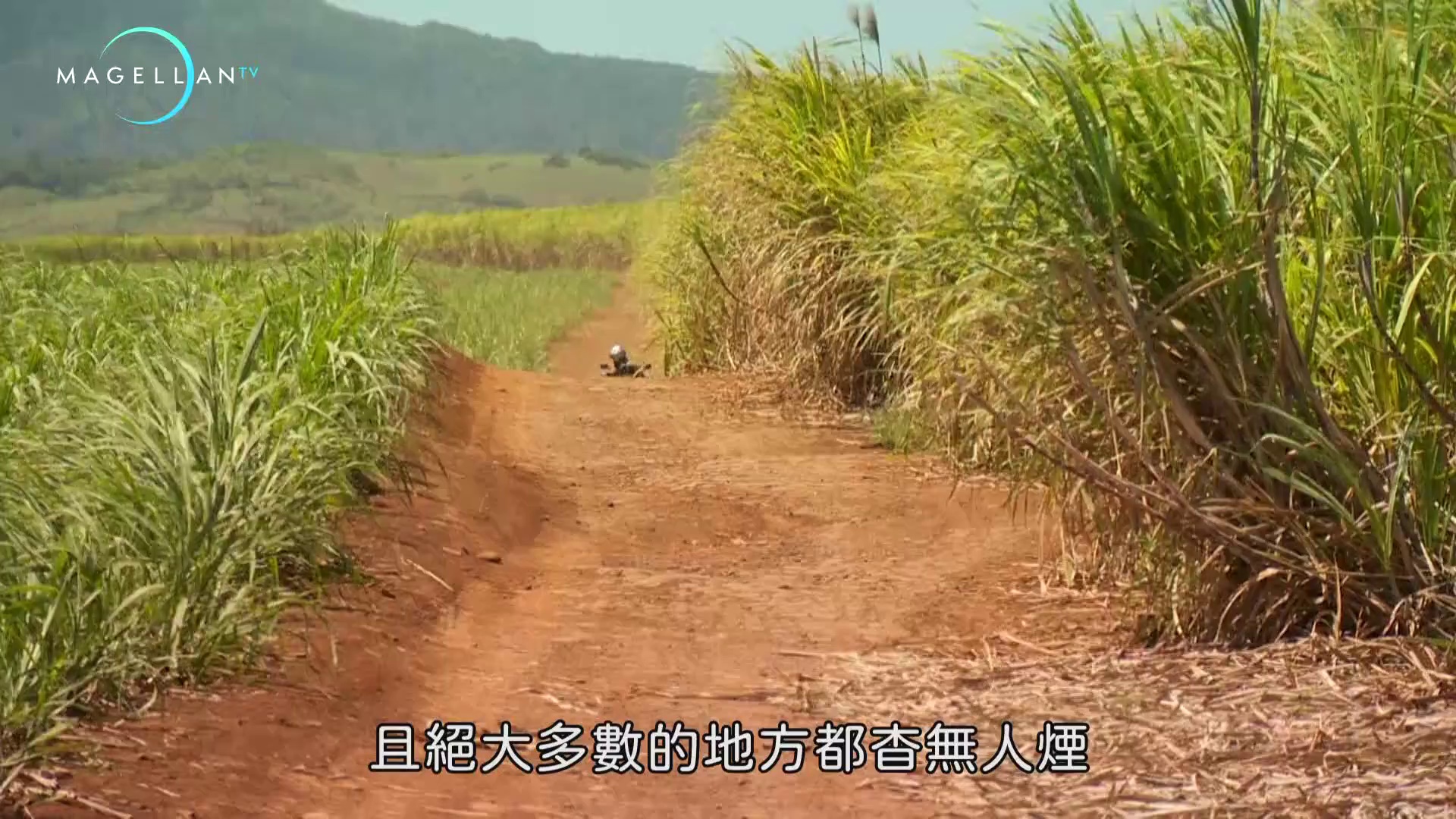 图片[3]-[BT下载][旅游狂人][全10集][WEB-MKV/24.29G][中文字幕][1080P][流媒体][ZerTV]-影音屋